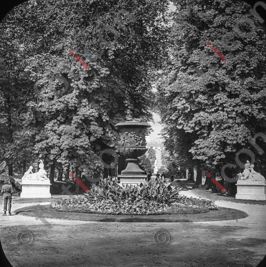 Garten in Sanssouci ; Garden at Sanssouci - Foto foticon-simon-190-028-sw.jpg | foticon.de - Bilddatenbank für Motive aus Geschichte und Kultur